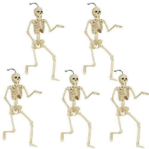 Halloween Skeleton Set Skull Full Body Halloween Skeleton, Funny Hipster Skull Skeleton Decoration Bone Décor, 5 Sets of Body Accessories for Best Halloween Decoration