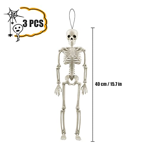 Halloween Skeletons Posable Halloween Hanging Skeletons Full Body Stretchy Realistic Human Plastic Bones with Movable Joints for Halloween Party Photo Prop Indoor Outdoor Decoration (3 Pack)