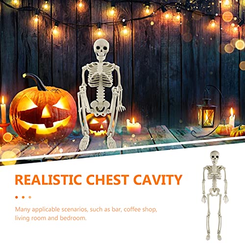 TOYANDONA Life Size Human Skeleton: Halloween Prop Decorations- with Bending Articulated Bone Joints that Stay in Place Halloween Spooky Party Favor