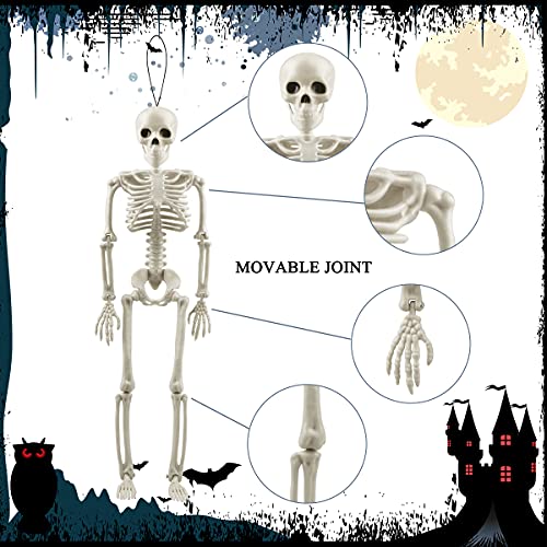 Halloween Skeletons Posable Halloween Hanging Skeletons Full Body Stretchy Realistic Human Plastic Bones with Movable Joints for Halloween Party Photo Prop Indoor Outdoor Decoration (3 Pack)