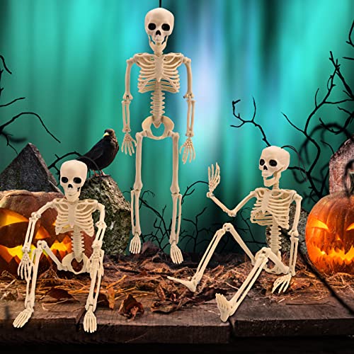 Gukasxi 3Pcs Posable Skeleton Halloween Skeleton Set 40cm Full Body Skeleton Props Hanging Halloween Skeletons Small Posable Skeleton with Movable Joints for Halloween Props Party Decoration