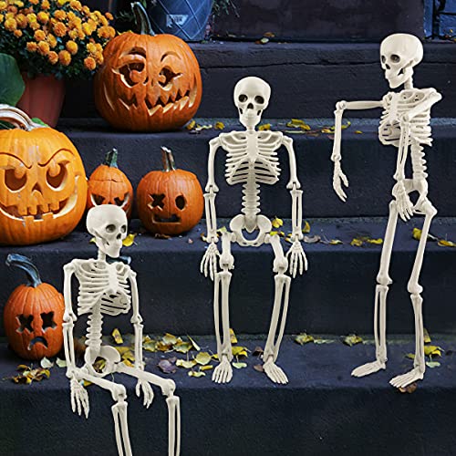 Halloween Skeletons Posable Halloween Hanging Skeletons Full Body Stretchy Realistic Human Plastic Bones with Movable Joints for Halloween Party Photo Prop Indoor Outdoor Decoration (3 Pack)
