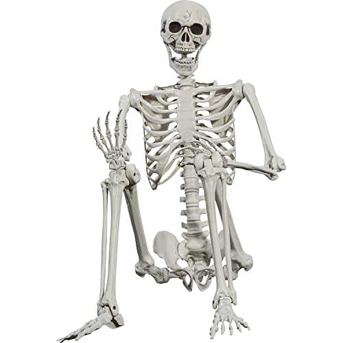 Halloween Posable Skeleton - 165cm Realistic Life Size Human Skeleton Bones with Movable Joints for Halloween Haunted House Decoration