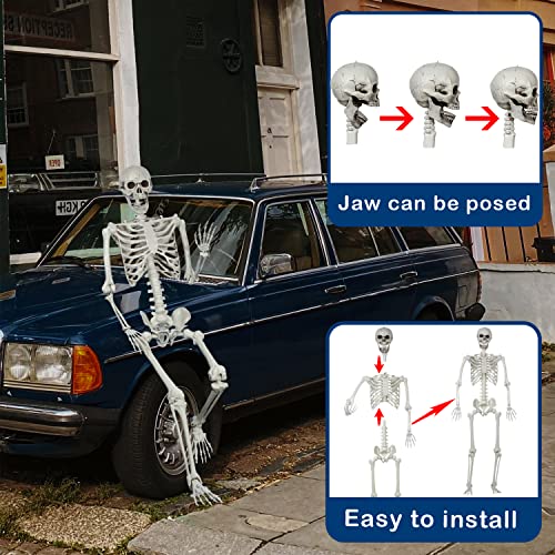 Halloween Posable Skeleton - 165cm Realistic Life Size Human Skeleton Bones with Movable Joints for Halloween Haunted House Decoration