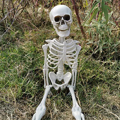 Newin Star Body Skeleton with Movable Joints Plastic Skeleton Model for Halloween Decorations Outdoor Indoor, Home Garden House Patio Decor (70 cm)