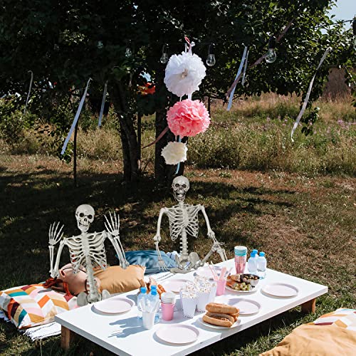 Halloween Posable Skeleton - 165cm Realistic Life Size Human Skeleton Bones with Movable Joints for Halloween Haunted House Decoration