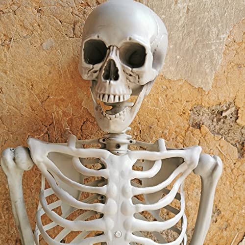 Newin Star Body Skeleton with Movable Joints Plastic Skeleton Model for Halloween Decorations Outdoor Indoor, Home Garden House Patio Decor (70 cm)