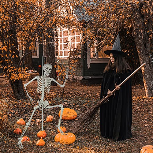 Halloween Posable Skeleton - 165cm Realistic Life Size Human Skeleton Bones with Movable Joints for Halloween Haunted House Decoration