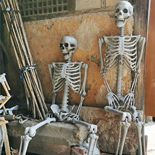 Newin Star Body Skeleton with Movable Joints Plastic Skeleton Model for Halloween Decorations Outdoor Indoor, Home Garden House Patio Decor (70 cm)