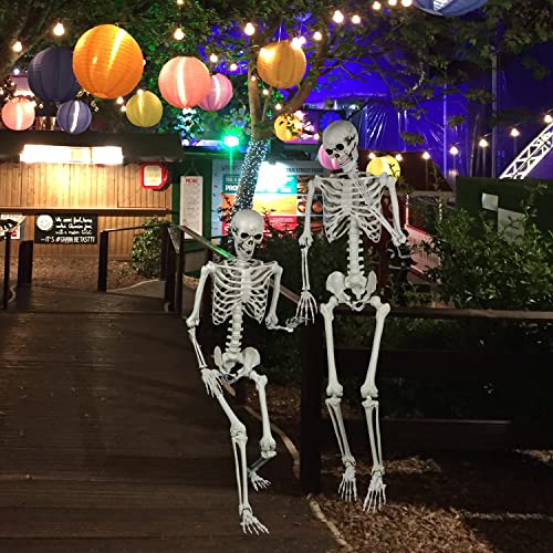Halloween Posable Skeleton - 165cm Realistic Life Size Human Skeleton Bones with Movable Joints for Halloween Haunted House Decoration