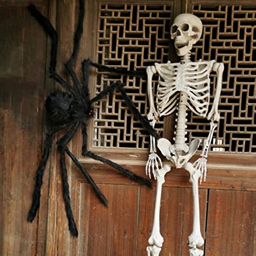 Newin Star Body Skeleton with Movable Joints Plastic Skeleton Model for Halloween Decorations Outdoor Indoor, Home Garden House Patio Decor (70 cm)