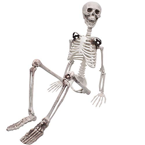 XONOR 90cm Posable Halloween Full Body Skeleton Props Realistic Human Bones with Movable Joints for Halloween Party Decoration