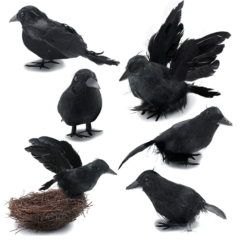 6PCS Black Lifesize Raven Movie Prop Fake Crow Halloween Hunting Decor Birds