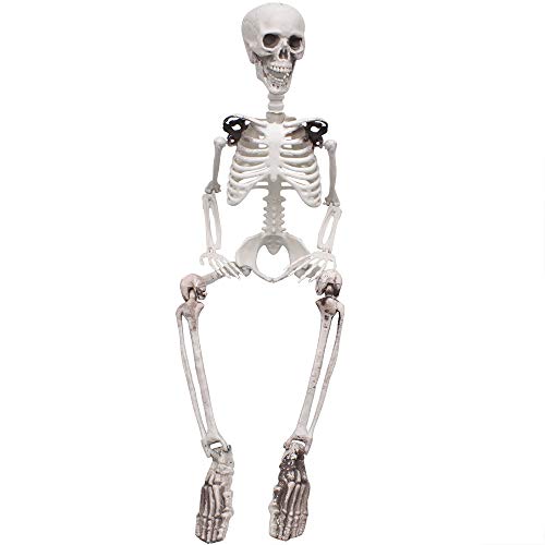 XONOR 90cm Posable Halloween Full Body Skeleton Props Realistic Human Bones with Movable Joints for Halloween Party Decoration