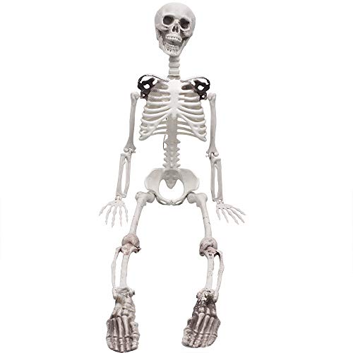 XONOR 90cm Posable Halloween Full Body Skeleton Props Realistic Human Bones with Movable Joints for Halloween Party Decoration