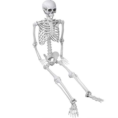 XONOR 5.4ft/165cm Halloween Posable Skeleton - Realistic Human Skeletons Full Body Bones with Movable Joints for Halloween Props Spooky Party Decoration