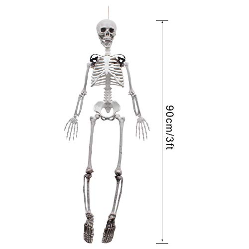 XONOR 90cm Posable Halloween Full Body Skeleton Props Realistic Human Bones with Movable Joints for Halloween Party Decoration