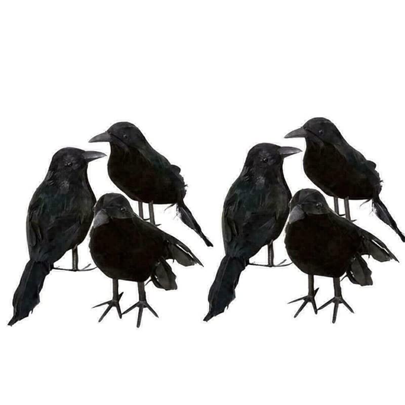 6PCS Black Lifesize Raven Movie Prop Fake Crow Halloween Hunting Decor Birds