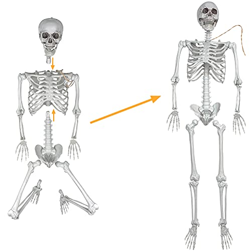 XONOR 5.4ft/165cm Halloween Posable Skeleton - Realistic Human Skeletons Full Body Bones with Movable Joints for Halloween Props Spooky Party Decoration