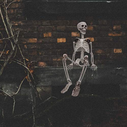 XONOR 90cm Posable Halloween Full Body Skeleton Props Realistic Human Bones with Movable Joints for Halloween Party Decoration