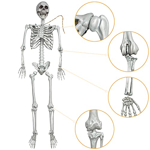 XONOR 5.4ft/165cm Halloween Posable Skeleton - Realistic Human Skeletons Full Body Bones with Movable Joints for Halloween Props Spooky Party Decoration