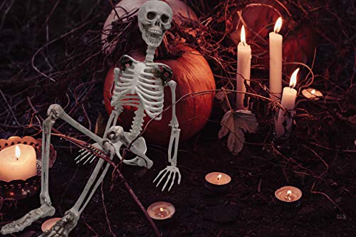 XONOR 90cm Posable Halloween Full Body Skeleton Props Realistic Human Bones with Movable Joints for Halloween Party Decoration