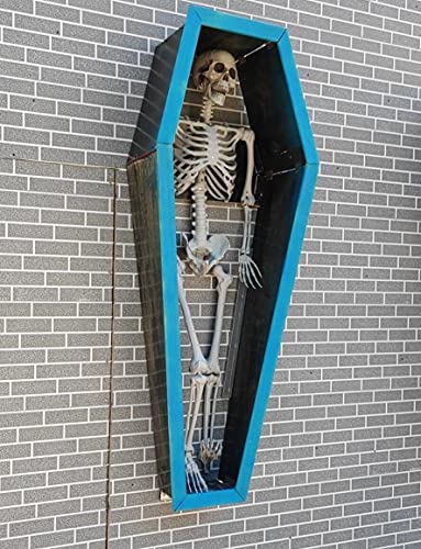 XONOR 5.4ft/165cm Halloween Posable Skeleton - Realistic Human Skeletons Full Body Bones with Movable Joints for Halloween Props Spooky Party Decoration