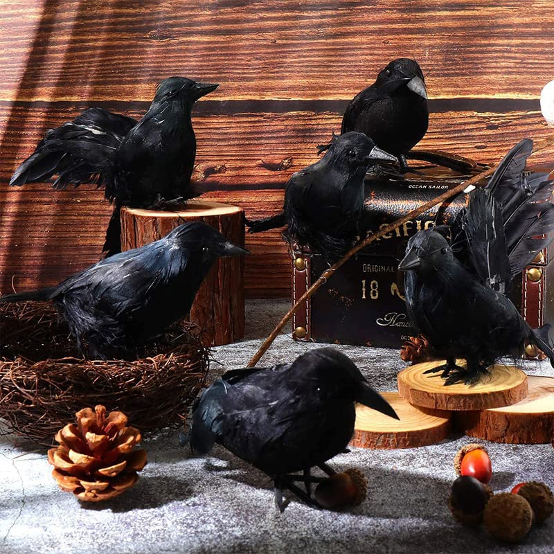 6PCS Black Lifesize Raven Movie Prop Fake Crow Halloween Hunting Decor Birds