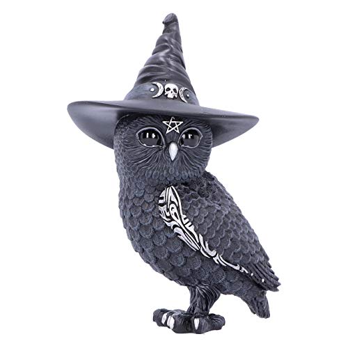 Nemesis Now Cult Cuties Owlocen Figurine 13.5cm, Resin, Black, Small Owlocen Owl Figurine, Scarily Adorable Bewitching Owl Figurine, Witch Owl Figurine, Cast in the Finest Resin, Expertly Hand-Painted