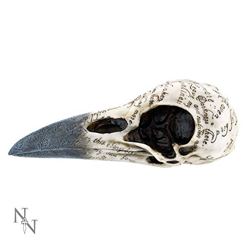 Nemesis Now Edgar's Raven Skull Figurine 25cm Ivory
