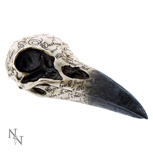 Nemesis Now Edgar's Raven Skull Figurine 25cm Ivory