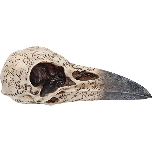 Nemesis Now Edgar's Raven Skull Figurine 25cm Ivory