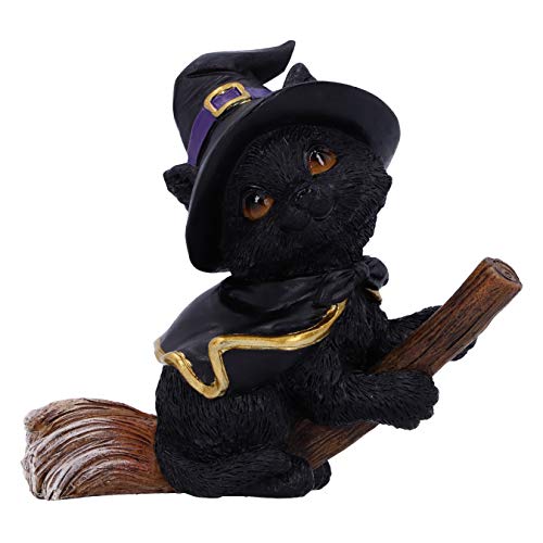 Nemesis Now Tabitha Small Witches Familiar Black Cat and Broomstick Figurine, 11cm