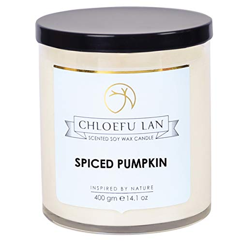 Chloefu LAN Farmhouse Spiced Pumpkin Candle Fall Candles Large Jar, 100% Natural Soy Candle for Home Scented,Highly Scented,100 Hours Long Burning Candle, 400g, Glass Jar Candle Gifts for Halloween