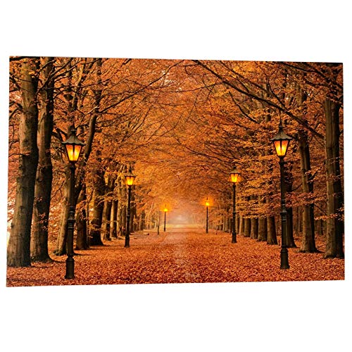 Autumn Avenue Scene LED Canvas 6 Bulb Light Up HD Wall Home Decor Picture Art 40cm x 60cm