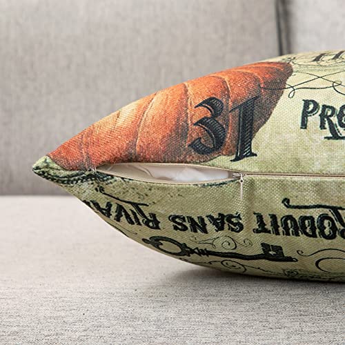 HOSTECCO Halloween Pillow Covers Set of 4 Pumpkin Skull Pillow Cases Owl Crow Linen Cushion Covers 18x18 inches