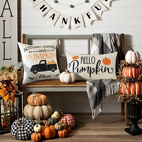 JOTOM 12x20 Inch Fall Throw Pillow Covers Hello Pumpkin Thanksgiving Cushion Covers 30x50cm Autumn Lumbar Decorative Pillow Covers Farmhouse Outdoor Pillowcase for Couch Sofa Bed Decor (Hello Pumpkin)