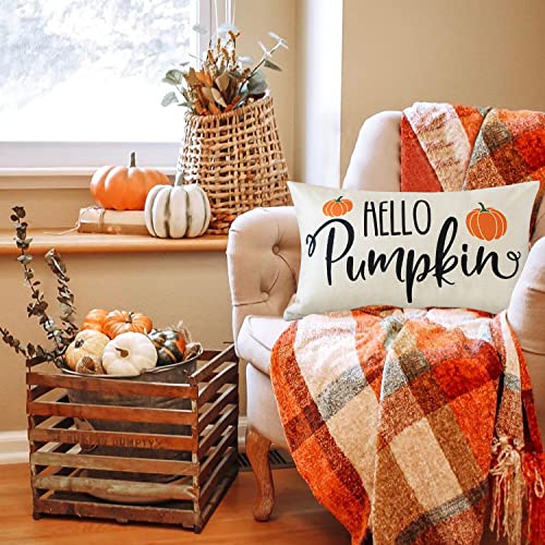 JOTOM 12x20 Inch Fall Throw Pillow Covers Hello Pumpkin Thanksgiving Cushion Covers 30x50cm Autumn Lumbar Decorative Pillow Covers Farmhouse Outdoor Pillowcase for Couch Sofa Bed Decor (Hello Pumpkin)