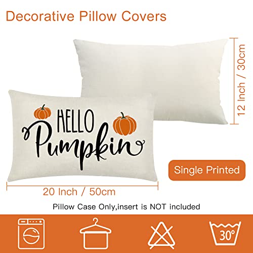 JOTOM 12x20 Inch Fall Throw Pillow Covers Hello Pumpkin Thanksgiving Cushion Covers 30x50cm Autumn Lumbar Decorative Pillow Covers Farmhouse Outdoor Pillowcase for Couch Sofa Bed Decor (Hello Pumpkin)