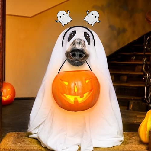 TAROME 6pcs Halloween Headbands Witch Hat Head Band Bat Headwear Skull Bat Hair Hoop Halloween Cosplay Costume Accessories for Girl Women Halloween Party Decoration