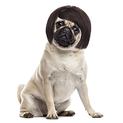 Cobee Funny Dog Cat Cosplay Wig, Pet Wig-Adjustable Costume Pet Funny Headwear Costumes Headgear for Small Medium Large Dog Cat Wigs Dress Up Decorations for Halloween, Christmas, Parties, Festivals