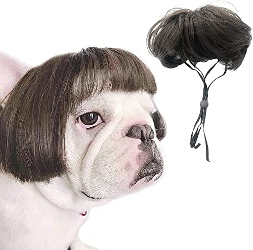 Dog Cat Cosplay Wig, Pet Wigs, for Halloween, Christmas, Parties, Festivals, Dog Wigs for Small Medium and Large Dogs Cosplay (Linen Color Bangs)