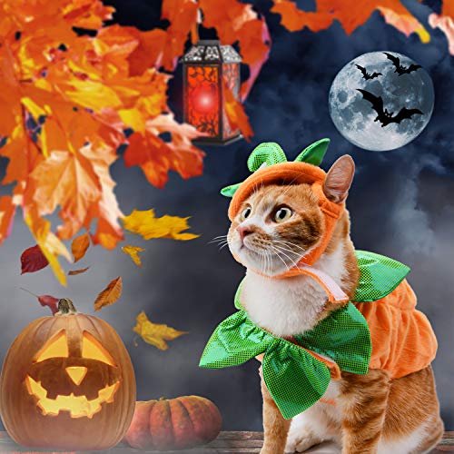 Legendog Cat Halloween Costume,Cat Halloween Apparel Pumpkin Design Funny Pet Clothing Halloween Cat Outfit with Pumpkin Headwear for Cats and Puppy