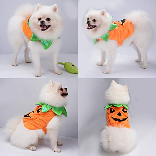 Legendog Cat Halloween Costume,Cat Halloween Apparel Pumpkin Design Funny Pet Clothing Halloween Cat Outfit with Pumpkin Headwear for Cats and Puppy