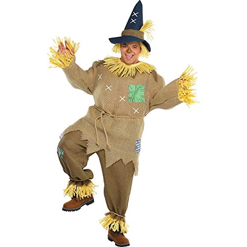Scarecrow Mens Fancy Dress Halloween Fairytale Book Week Adults Costume Outfit