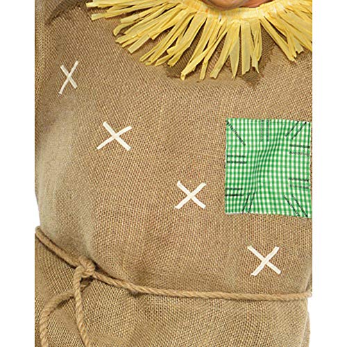 Scarecrow Mens Fancy Dress Halloween Fairytale Book Week Adults Costume Outfit