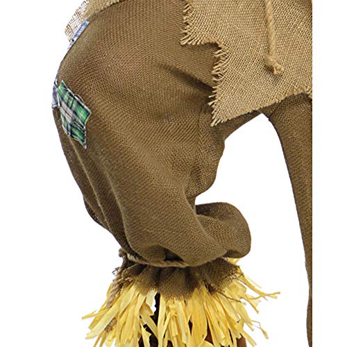 Scarecrow Mens Fancy Dress Halloween Fairytale Book Week Adults Costume Outfit