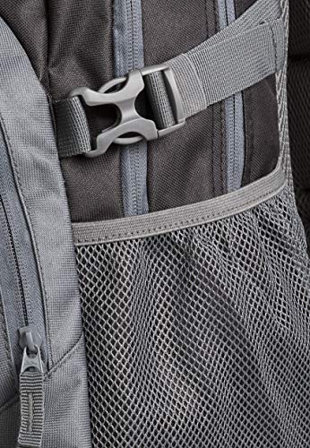 Designer Albus Ash Rucksack in Gray, 30L