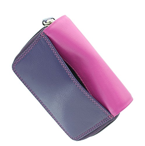 Rainbow Leather Ladies Purse with RFID Protection by VISCONTI