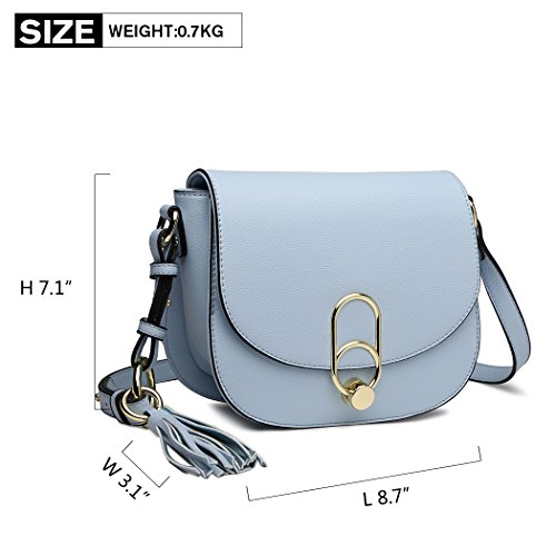 Modern Designer Cross Body Bag with Tassel (Blue)